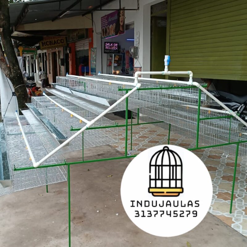 JAULAS PARA CODORNIZ MODULO PIRAMIDAL PARA 250 AVES