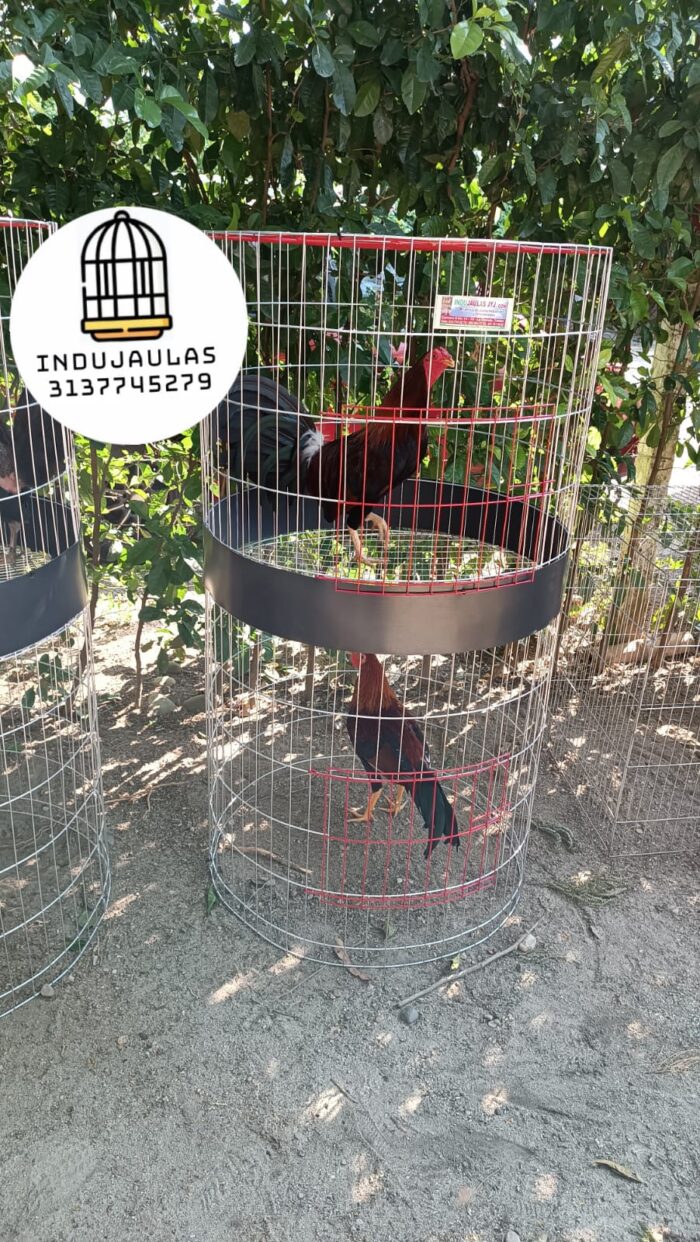 JAULA PARA GALLO FINO REDONDA DE 2 y 3 PUESTOS