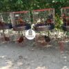 JAULA PARA GALLO FINO REDONDA DE 2 y 3 PUESTOS