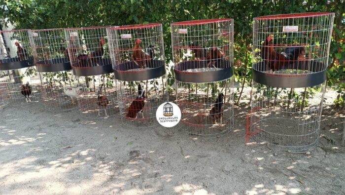 JAULA PARA GALLO FINO REDONDA DE 2 y 3 PUESTOS