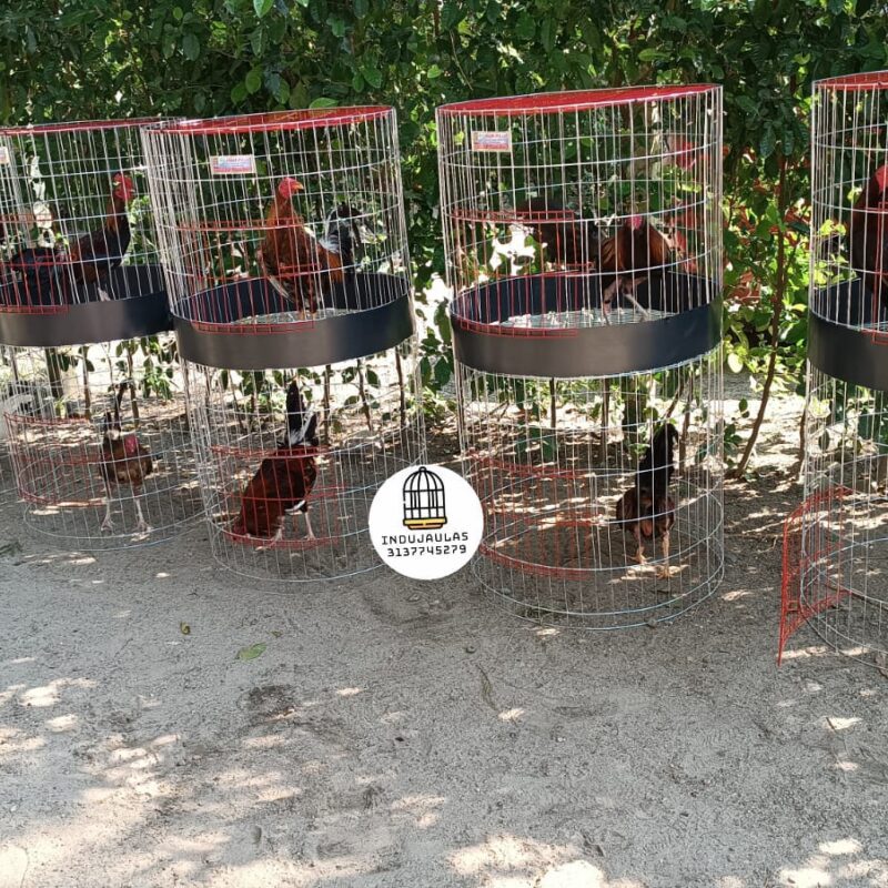JAULA PARA GALLO FINO REDONDA DE 2 y 3 PUESTOS