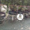 JAULA PARA GALLO FINO REDONDA DE 2 y 3 PUESTOS