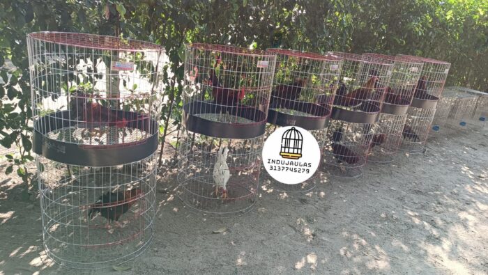 JAULA PARA GALLO FINO REDONDA DE 2 y 3 PUESTOS