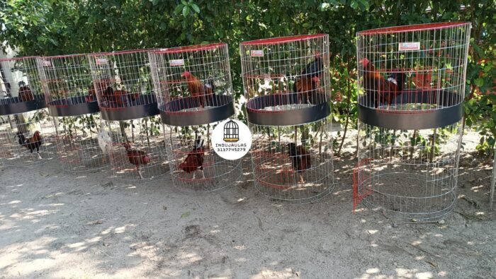 JAULA PARA GALLO FINO REDONDA DE 2 y 3 PUESTOS