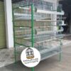 JAULA PARA GALLINA MODULO VERTICAL PARA 54 AVES