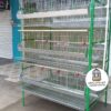 JAULA PARA GALLINA MODULO VERTICAL PARA 54 AVES