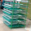 JAULA PARA CODORNIZ MODULO VERTICAL PARA 300 AVES