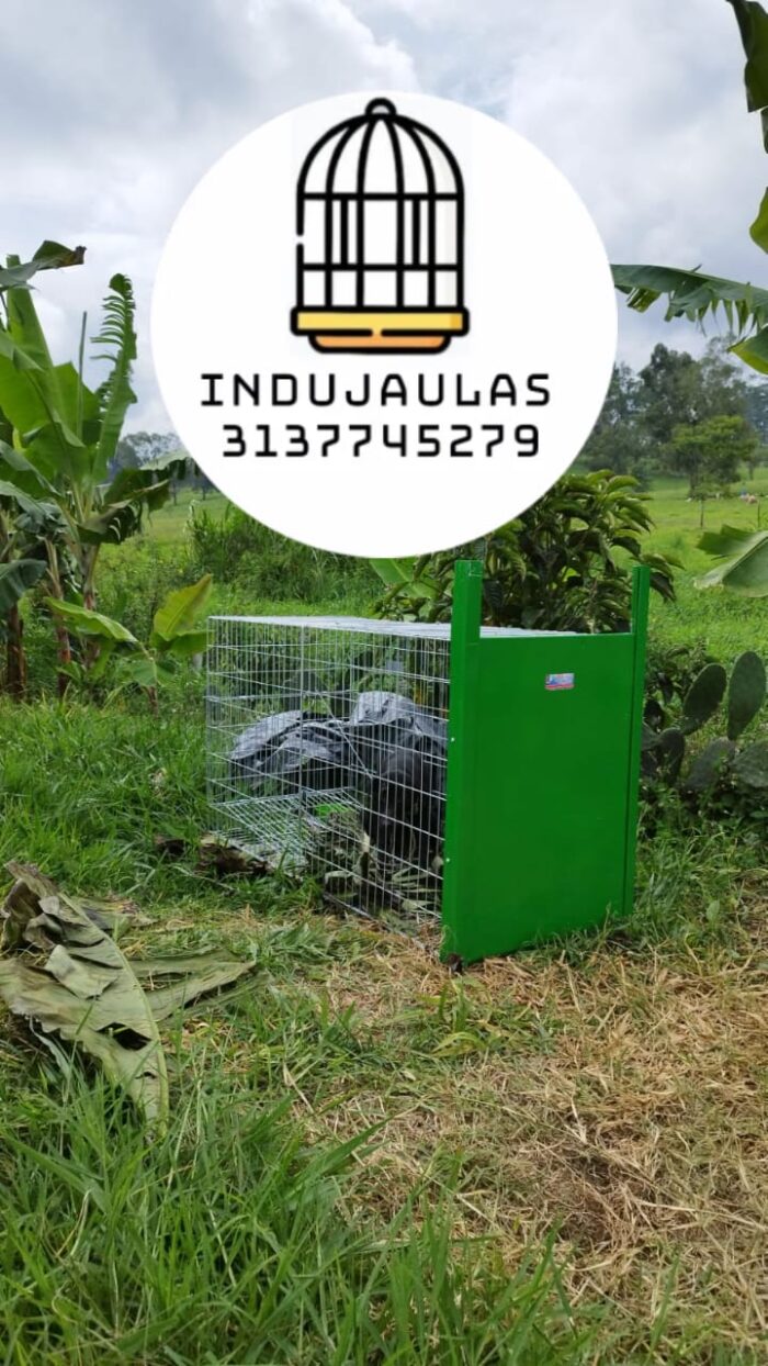 JAULA TRAMPA PARA PERROS